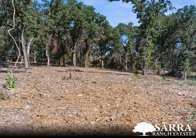 Photo 4 of Land for sale at Lot 44 Antrim Ct, Poolville, TX 76487 | MLS# 21309258 | Listing updated on 2026-09-03
