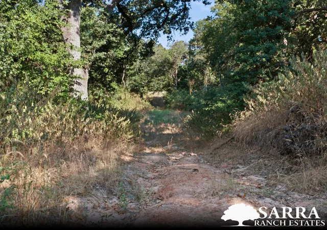 Photo 2 of Land for sale at Lot 40 Kilkenny Rd, Poolville, TX 76487 | MLS# 21309264 | Listing updated on 2026-09-02