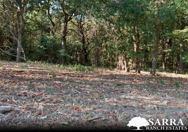 Photo 3 of Land for sale at Lot 40 Kilkenny Rd, Poolville, TX 76487 | MLS# 21309264 | Listing updated on 2026-09-02