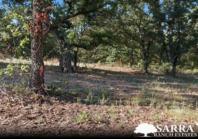Photo 4 of Land for sale at Lot 39 Kilkenny Rd, Poolville, TX 76487 | MLS# 21309290 | Listing updated on 2026-09-02