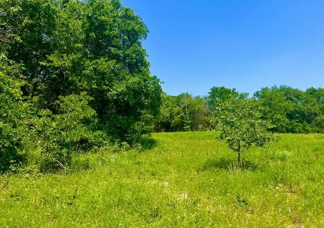 Photo 1 of Land for sale at Lot 49 Wicklow Ct, Poolville, TX 76487 | MLS# 21309373 | Listing updated on 2026-08-31