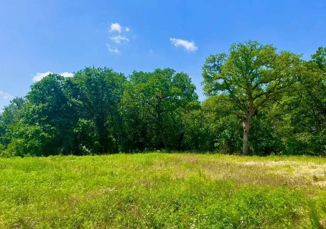 Photo 2 of Land for sale at Lot 49 Wicklow Ct, Poolville, TX 76487 | MLS# 21309373 | Listing updated on 2026-08-31
