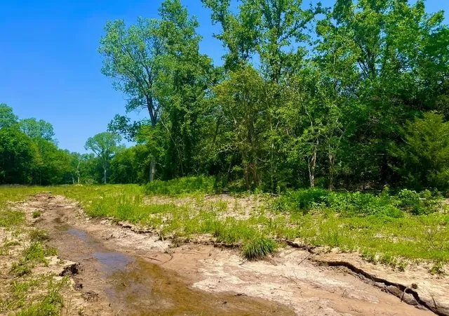 Photo 3 of Land for sale at Lot 49 Wicklow Ct, Poolville, TX 76487 | MLS# 21309373 | Listing updated on 2026-08-31