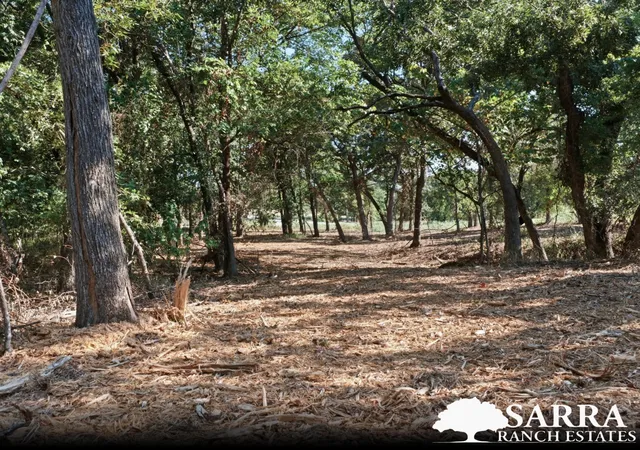 Photo 2 of Land for sale at Lot 48 Antrim Ct, Poolville, TX 76487 | MLS# 21309378 | Listing updated on 2026-09-04