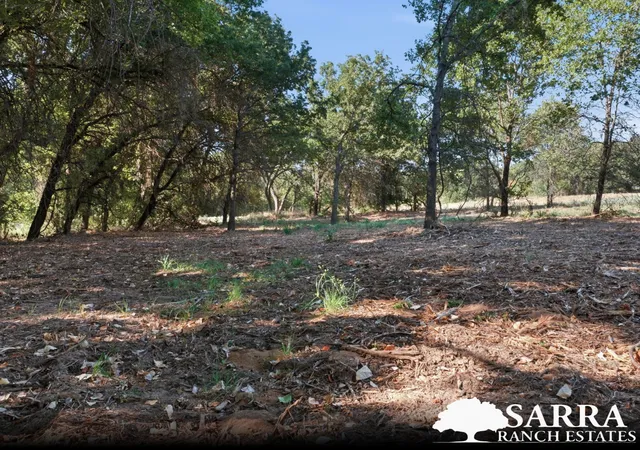 Photo 2 of Land for sale at Lot 47 Antrim Ct, Poolville, TX 76487 | MLS# 21309388 | Listing updated on 2026-09-04