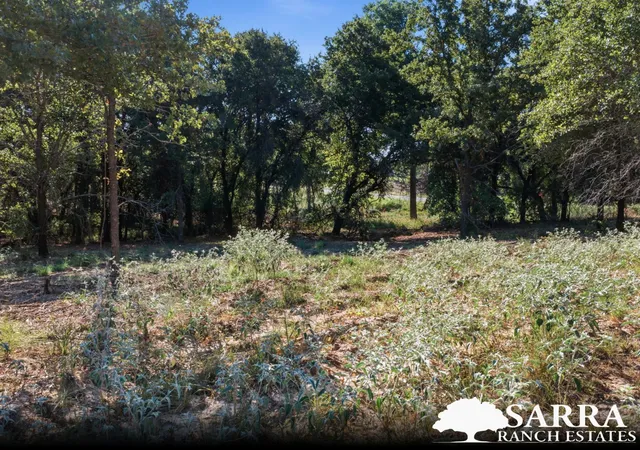 Photo 3 of Land for sale at Lot 47 Antrim Ct, Poolville, TX 76487 | MLS# 21309388 | Listing updated on 2026-09-04
