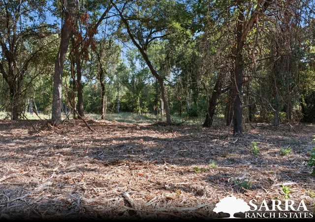 Photo 4 of Land for sale at Lot 46 Antrim Ct, Poolville, TX 76487 | MLS# 21309392 | Listing updated on 2026-09-04