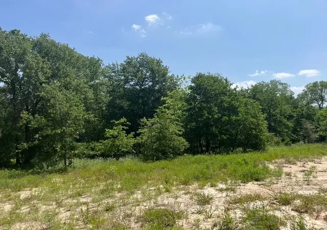 Photo 2 of Land for sale at Lot 45 Antrim Ct, Poolville, TX 76487 | MLS# 21309423 | Listing updated on 2026-08-31