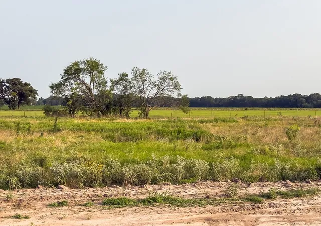 Photo 3 of Land for sale at Lot 8 Elm Branch, Elm Mott, TX 76640 | MLS# 21306996 | Listing updated on 2026-09-02