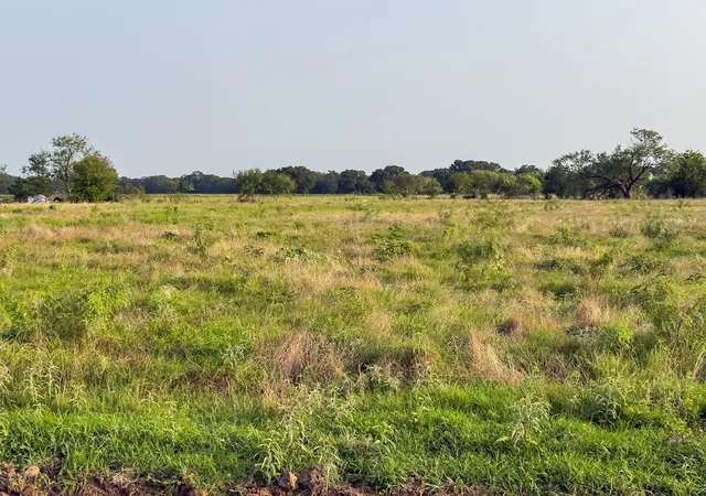 Photo 3 of Land for sale at Lot 10 Elm Branch, Elm Mott, TX 76640 | MLS# 21307004 | Listing updated on 2026-09-02
