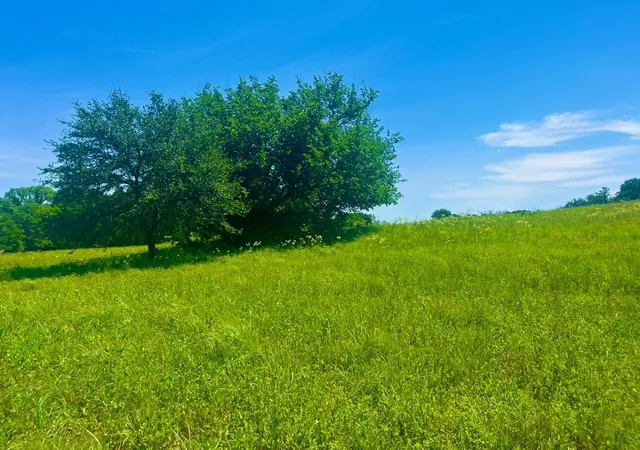 Photo 1 of Land for sale at Lot 102 Arlow Rd, Poolville, TX 76487 | MLS# 21309455 | Listing updated on 2026-08-22