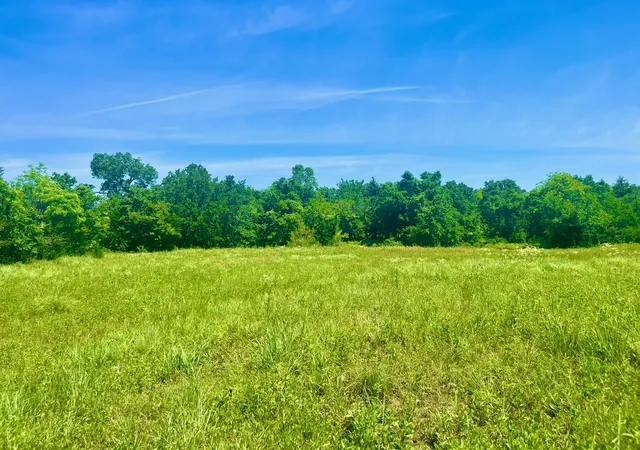 Photo 2 of Land for sale at Lot 102 Arlow Rd, Poolville, TX 76487 | MLS# 21309455 | Listing updated on 2026-08-22