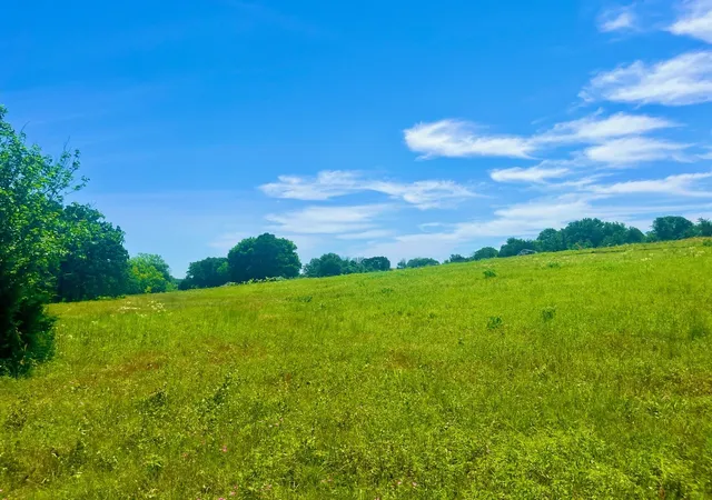 Photo 3 of Land for sale at Lot 102 Arlow Rd, Poolville, TX 76487 | MLS# 21309455 | Listing updated on 2026-08-22