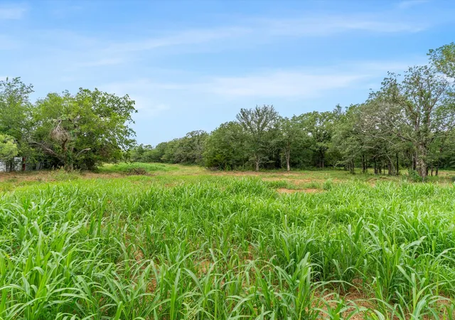 Homes for sale in Paradise, TX | 709 County Road 3355, Paradise, TX 76073 | MLS# 21308707