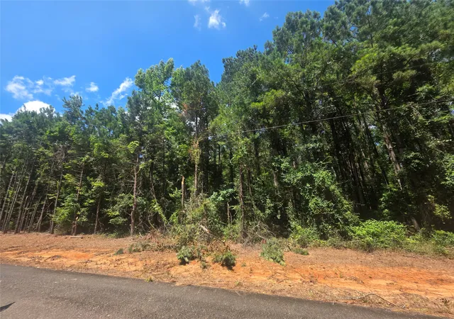Homes for sale in Plain Dealing, LA | 0 Pleasant Hill Cemetery Rd, Plain Dealing, LA 71064 | MLS# 21309726