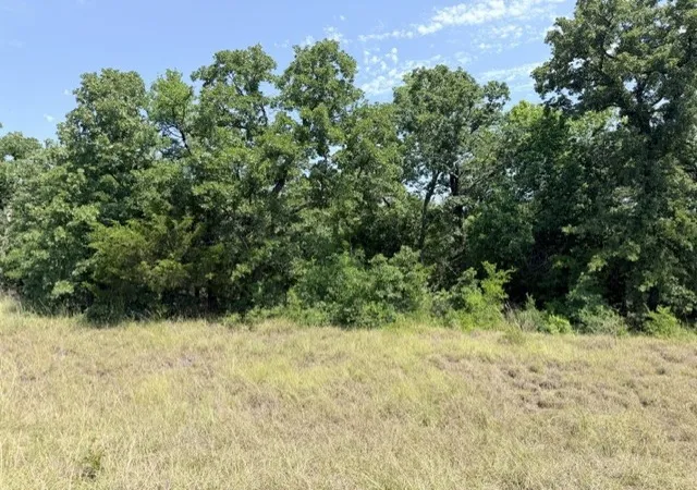 Homes for sale in Bowie, TX | Tbd Creekside, Bowie, TX 76230 | MLS# 21309733