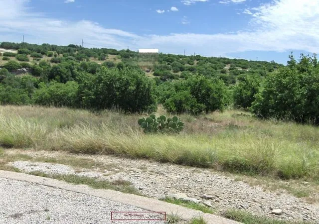 Homes for sale in Graford, TX | Tbd Royal Aberdeen Ct, Graford, TX 76449 | MLS# 21309190