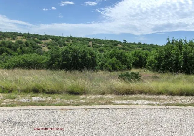 Homes for sale in Graford, TX | Tbd Royal Aberdeen Ct, Graford, TX 76449 | MLS# 21309190