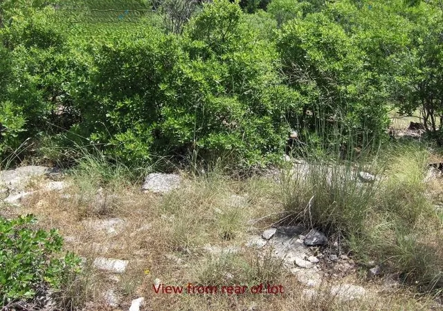 Homes for sale in Graford, TX | Tbd Royal Aberdeen Ct, Graford, TX 76449 | MLS# 21309190