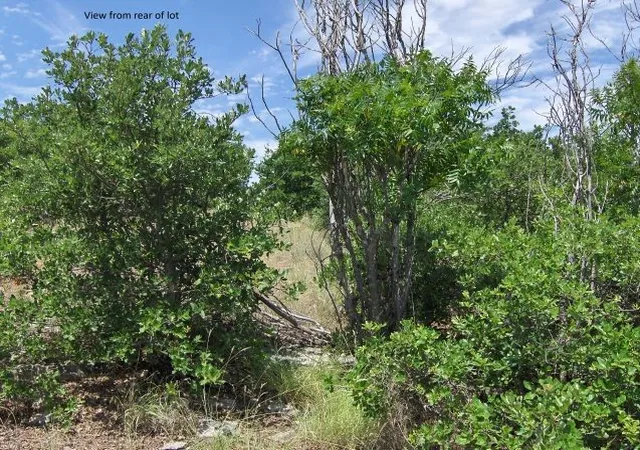 Homes for sale in Graford, TX | Tbd Royal Aberdeen Ct, Graford, TX 76449 | MLS# 21309190