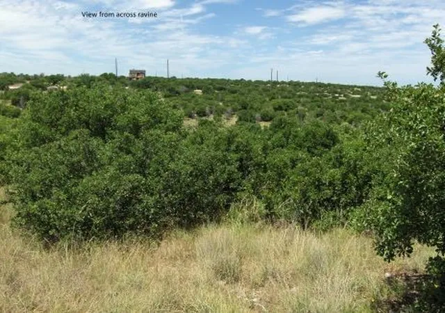 Homes for sale in Graford, TX | Tbd Royal Aberdeen Ct, Graford, TX 76449 | MLS# 21309190