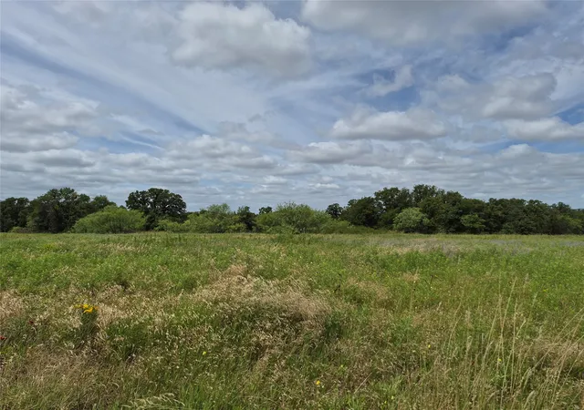 Homes for sale in Henrietta, TX | Tbd Fm 175, Henrietta, TX 76365 | MLS# 21309887