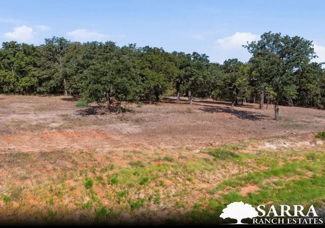 Photo 3 of Land for sale at Lot 43 Antrim Ct, Poolville, TX 76487 | MLS# 21310135 | Listing updated on 2026-09-03