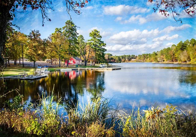 27th image of 108 Old Barn Cir, Holly Lake Ranch, TX 75765 | MLS# 21305321