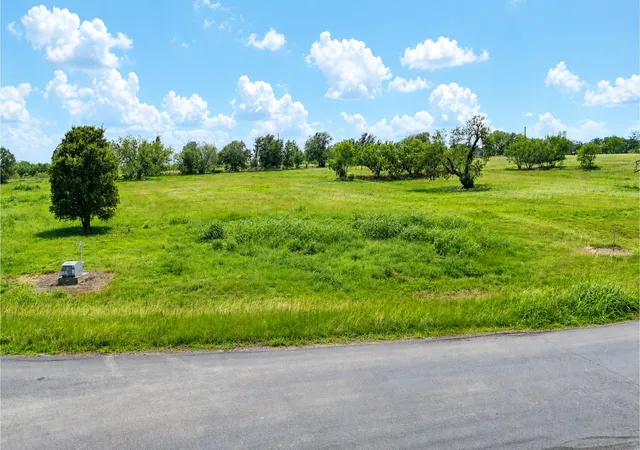 Homes for sale in Streetman, TX | Lot 13 Open Water Wy, Streetman, TX 75859 | MLS# 21307240