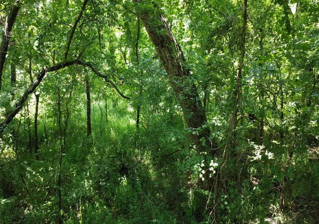 Photo 3 of Land for sale at 527 Copperas Rd, Sadler, TX 76264 | MLS# 21310190 | Listing updated on 2026-08-22