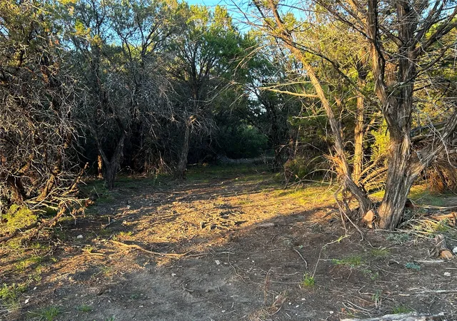 Homes for sale in Goldthwaite, TX | 125 County Road 403, Goldthwaite, TX 76844 | MLS# 21308945