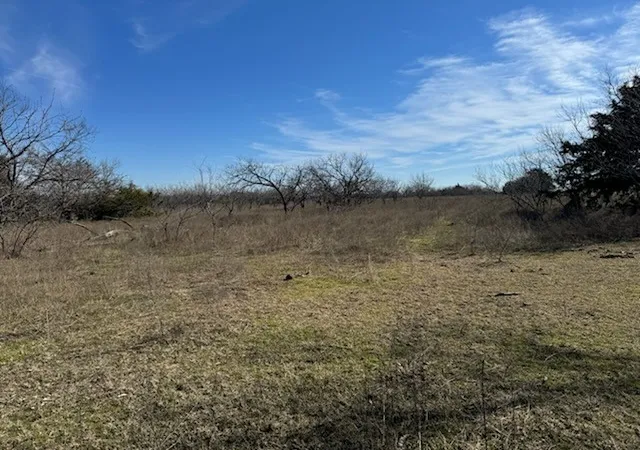 Homes for sale in Dawson, TX | Tbd Tract 3 1 Fm 642, Dawson, TX 76639 | MLS# 21310749