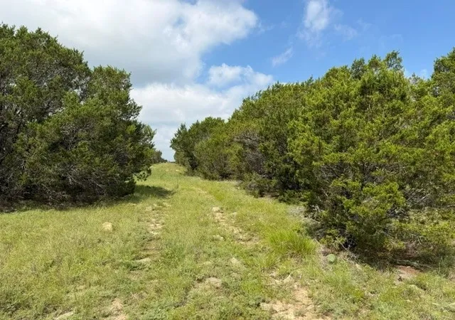 Homes for sale in Hico, TX | 3828 W Fm 219, Hico, TX 76457 | MLS# 21310875