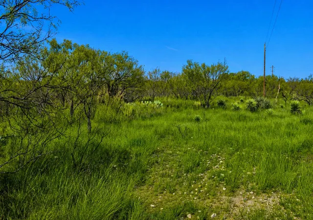 Homes for sale in Brady, TX | 20 A Cr 144, Brady, TX 76825 | MLS# 21311012