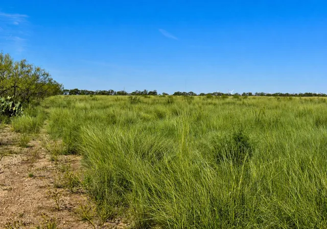 Homes for sale in Brady, TX | 20 A Cr 144, Brady, TX 76825 | MLS# 21311012