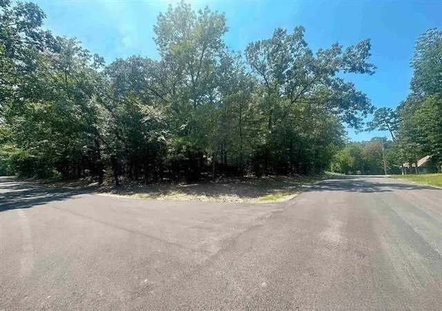 Homes for sale in Mount Vernon, TX | 18 Angelina St, Mount Vernon, TX 75457 | MLS# 21306034
