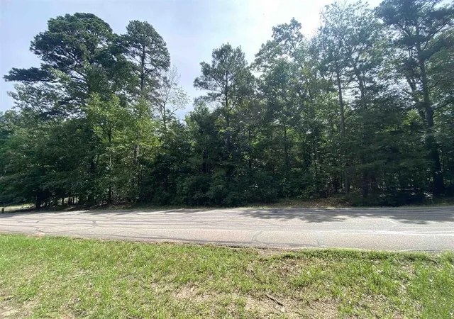 Homes for sale in Mount Vernon, TX | 18 Angelina St, Mount Vernon, TX 75457 | MLS# 21306034