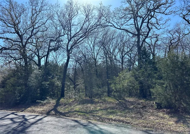 Photo 12 of Land for sale at Tbd Shenandoah Dr #Lot 153-R, Streetman, TX 75859 | MLS# 21311182 | Listing updated on 2026-08-31