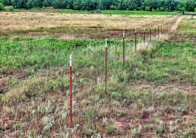 36th image of 978 Longbranch Rd, Nocona, TX 76255 | MLS# 21309997
