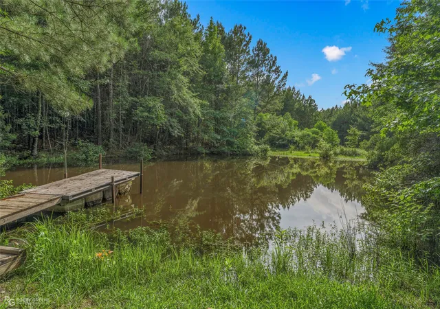 3rd image of 126 Oscar Kilpatrick Rd, Gibsland, LA 71028 | MLS# 21311536