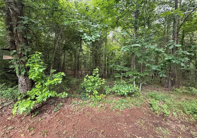 7th image of 0 Crouch Rd #2, Benton, LA 71006 | MLS# 21309321