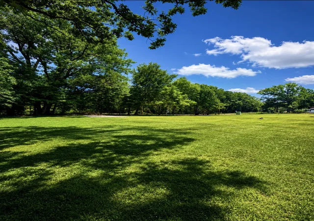2nd image of 3102 County Road 1703, Malakoff, TX 75148 | MLS# 21311058