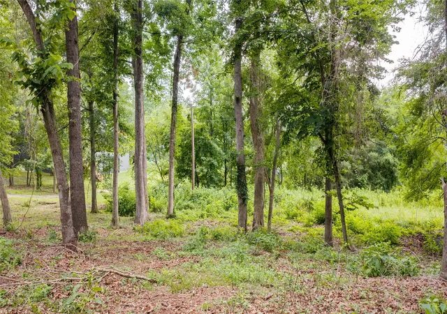 Photo 3 of Land for sale at Tbd Naus Dr, Winnsboro, TX 75494 | MLS# 21311507 | Listing updated on 2026-08-22