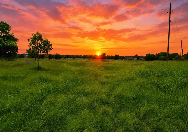 Photo 3 of Land for sale at 711 Robnett Rd, Waxahachie, TX 75165 | MLS# 21312421 | Listing updated on 2026-09-30
