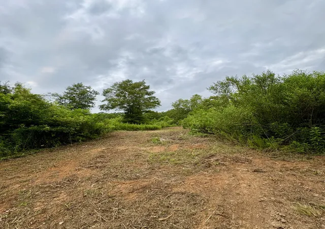 16th image of 4246 County Road 4789, Timpson, TX 75975 | MLS# 21312555