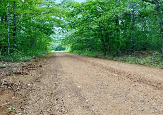 Photo 3 of Sale Pending at 4246 County Road 4789, Timpson, TX 75975 | MLS# 21312555 | Listing updated on 2026-08-04