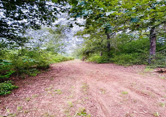 Photo 4 of Sale Pending at 4246 County Road 4789, Timpson, TX 75975 | MLS# 21312555 | Listing updated on 2026-08-04