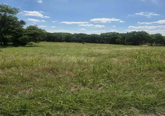 Homes for sale in Sunset, TX | Lot 682 Phase 7 Silverleaf, Sunset, TX 76270 | MLS# 21303575
