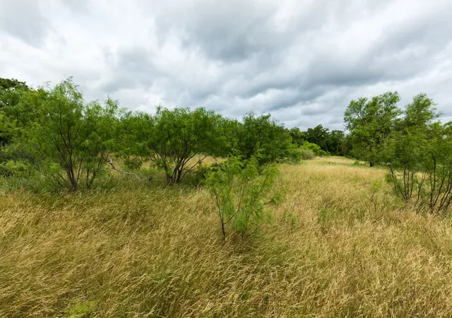 Homes for sale in Oplin, TX | Tbd Fm 1178, Oplin, TX 79510 | MLS# 21312721