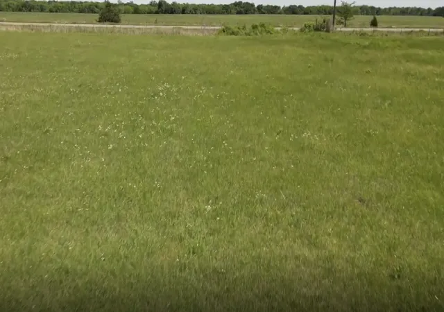 Photo 3 of Land for sale at Tbd Hwy 24, Paris, TX 75460 | MLS# 21312358 | Listing updated on 2026-08-25